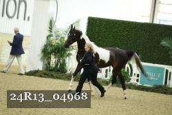 24R13_04968 thumbnail