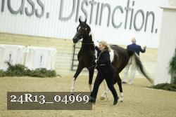 24R13_04969 thumbnail