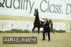 24R13_04970 thumbnail