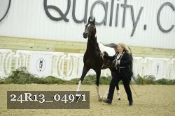 24R13_04971 thumbnail