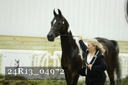 24R13_04972 thumbnail