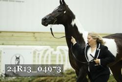 24R13_04973 thumbnail