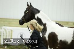 24R13_04974 thumbnail