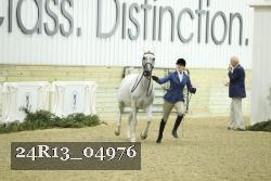 24R13_04976 thumbnail