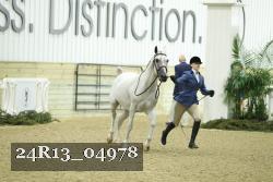 24R13_04978 thumbnail