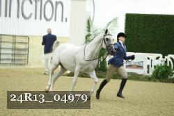 24R13_04979 thumbnail
