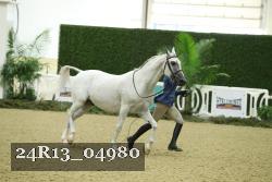 24R13_04980 thumbnail