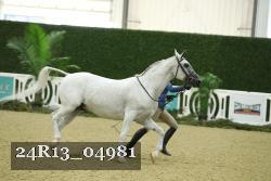 24R13_04981 thumbnail