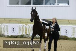 24R13_04982 thumbnail
