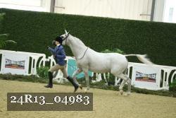 24R13_04983 thumbnail