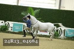24R13_04984 thumbnail
