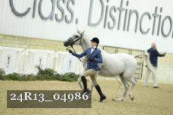 24R13_04986 thumbnail