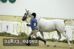 24R13_04992 thumbnail