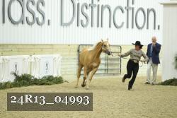 24R13_04993 thumbnail