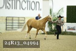 24R13_04994 thumbnail