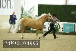 24R13_04995 thumbnail