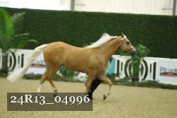 24R13_04996 thumbnail