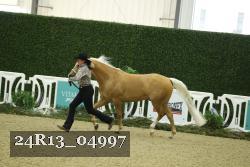 24R13_04997 thumbnail