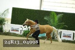 24R13_04998 thumbnail