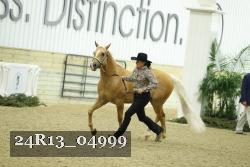 24R13_04999 thumbnail