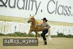 24R13_05001 thumbnail