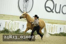 24R13_05002 thumbnail