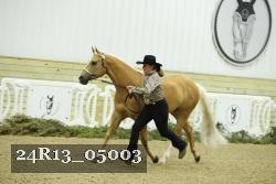 24R13_05003 thumbnail