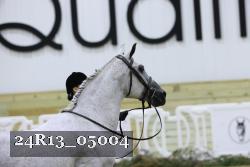 24R13_05004 thumbnail