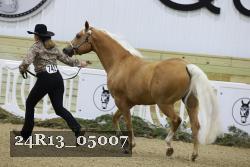 24R13_05007 thumbnail
