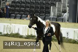24R13_05015 thumbnail