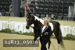 24R13_05016 thumbnail