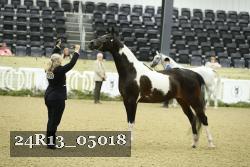 24R13_05018 thumbnail