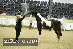 24R13_05019 thumbnail