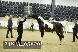 24R13_05020 thumbnail