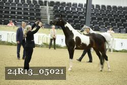 24R13_05021 thumbnail
