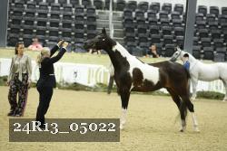 24R13_05022 thumbnail