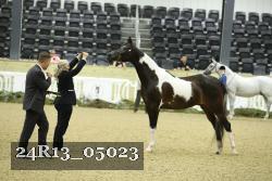24R13_05023 thumbnail