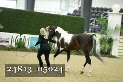 24R13_05024 thumbnail