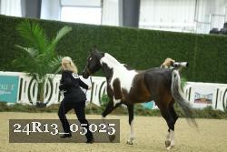 24R13_05025 thumbnail