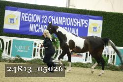 24R13_05026 thumbnail
