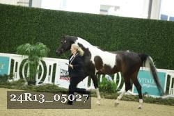 24R13_05027 thumbnail