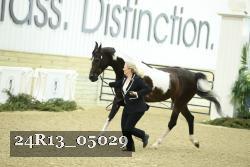24R13_05029 thumbnail