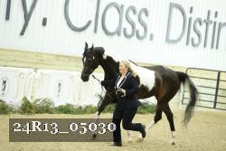 24R13_05030 thumbnail