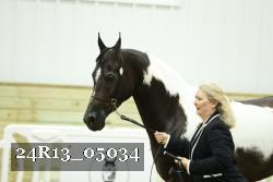 24R13_05034 thumbnail