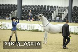 24R13_05040 thumbnail