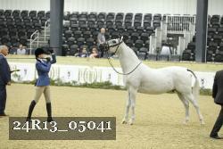 24R13_05041 thumbnail