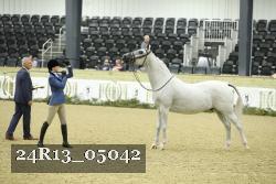 24R13_05042 thumbnail