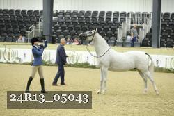 24R13_05043 thumbnail