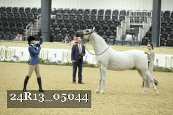 24R13_05044 thumbnail