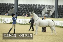 24R13_05045 thumbnail